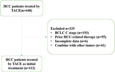 Development of TACE Refractoriness Scores in Hepatocellular Carcinoma